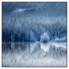Xxl Wandbild Frostiger Wald Quadrat Produktvorschau Frontal