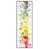Xxl Wandbild Fruchtspritzer Schmal Produktvorschau Frontal