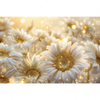Xxl Wandbild Funkelnde Blumen In Gold Querformat Motivvorschau