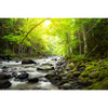 Xxl Wandbild Gebirgsfluss Im Wald Querformat Motivvorschau