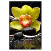 Xxl Wandbild Gelbe Orchidee Hochformat Produktvorschau Frontal
