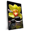Xxl Wandbild Gelbe Orchidee Hochformat Produktvorschau Seitlich