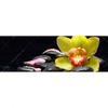 Xxl Wandbild Gelbe Orchidee Panorama Motivvorschau