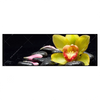 Xxl Wandbild Gelbe Orchidee Panorama Produktvorschau Frontal