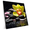 Xxl Wandbild Gelbe Orchidee Quadrat Produktvorschau Seitlich