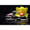 Xxl Wandbild Gelbe Orchidee Querformat Motivvorschau