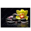 Xxl Wandbild Gelbe Orchidee Querformat Produktvorschau Frontal