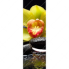 Xxl Wandbild Gelbe Orchidee Schmal Motivvorschau