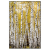 Xxl Wandbild Gelber Birkenwald Hochformat Produktvorschau Frontal