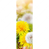 Xxl Wandbild Gelber Loewenzahn Schmal Motivvorschau