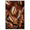 Xxl Wandbild Geroestete Kaffeebohnen No 2 Hochformat Produktvorschau Frontal