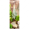 Xxl Wandbild Getrocknete Kraeuter Schmal Motivvorschau