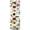 Xxl Wandbild Gewuerzvielfalt Schmal Motivvorschau