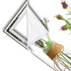 Xxl Wandbild Glasvasen Mit Kraeutern Panorama Materialvorschau