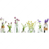 Xxl Wandbild Glasvasen Mit Kraeutern Panorama Motivvorschau