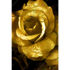 Xxl Wandbild Goldene Rose Hochformat Motivvorschau