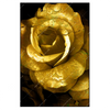 Xxl Wandbild Goldene Rose Hochformat Produktvorschau Frontal