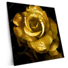 Xxl Wandbild Goldene Rose Quadrat Produktvorschau Seitlich
