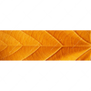 Xxl Wandbild Goldenes Blatt Panorama Motivvorschau