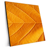 Xxl Wandbild Goldenes Blatt Quadrat Produktvorschau Seitlich