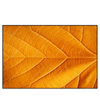 Xxl Wandbild Goldenes Blatt Querformat Produktvorschau Frontal