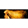Xxl Wandbild Goldenes Haar Panorama Motivvorschau
