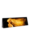 Xxl Wandbild Goldenes Haar Panorama Produktvorschau Seitlich