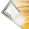 Xxl Wandbild Goldenes Licht Ueber Sandduenen Schmal Materialvorschau