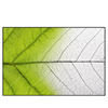 Xxl Wandbild Gruenes Blatt Querformat Produktvorschau Frontal
