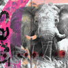 Xxl Wandbild Grunge Elefant Quadrat Motivvorschau