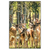 Xxl Wandbild Gruppe Rotwild Hochformat Produktvorschau Frontal