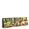 Xxl Wandbild Gruppe Rotwild Panorama Produktvorschau Seitlich