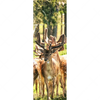 Xxl Wandbild Gruppe Rotwild Schmal Motivvorschau