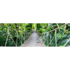 Xxl Wandbild Haengebruecke Im Dschungel Panorama Motivvorschau