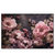 Xxl Wandbild Hellrosa Blumen Querformat Produktvorschau Frontal