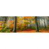 Xxl Wandbild Herbstfarben Im Nebligen Wald Panorama Motivvorschau