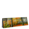 Xxl Wandbild Herbstfarben Im Nebligen Wald Panorama Produktvorschau Seitlich