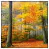 Xxl Wandbild Herbstfarben Im Nebligen Wald Quadrat Produktvorschau Frontal