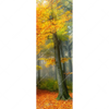 Xxl Wandbild Herbstfarben Im Nebligen Wald Schmal Motivvorschau