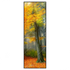 Xxl Wandbild Herbstfarben Im Nebligen Wald Schmal Produktvorschau Frontal