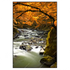 Xxl Wandbild Herbstlandschaft Am Fluss Hochformat Produktvorschau Frontal