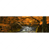 Xxl Wandbild Herbstlandschaft Am Fluss Panorama Motivvorschau