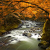 Xxl Wandbild Herbstlandschaft Am Fluss Quadrat Motivvorschau
