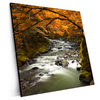 Xxl Wandbild Herbstlandschaft Am Fluss Quadrat Produktvorschau Seitlich