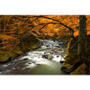 Xxl Wandbild Herbstlandschaft Am Fluss Querformat Motivvorschau