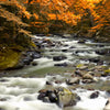 Xxl Wandbild Herbstlandschaft Am Fluss Querformat Zoom