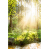 Xxl Wandbild Herbstlicher Wald Hochformat Motivvorschau