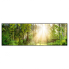 Xxl Wandbild Herbstlicher Wald Panorama Produktvorschau Frontal