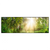 Xxl Wandbild Herbstlicher Wald Panorama Produktvorschau Frontal