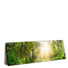 Xxl Wandbild Herbstlicher Wald Panorama Produktvorschau Seitlich